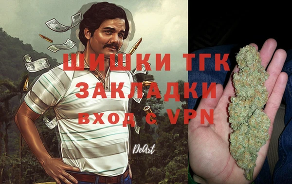 шишки Саяногорск